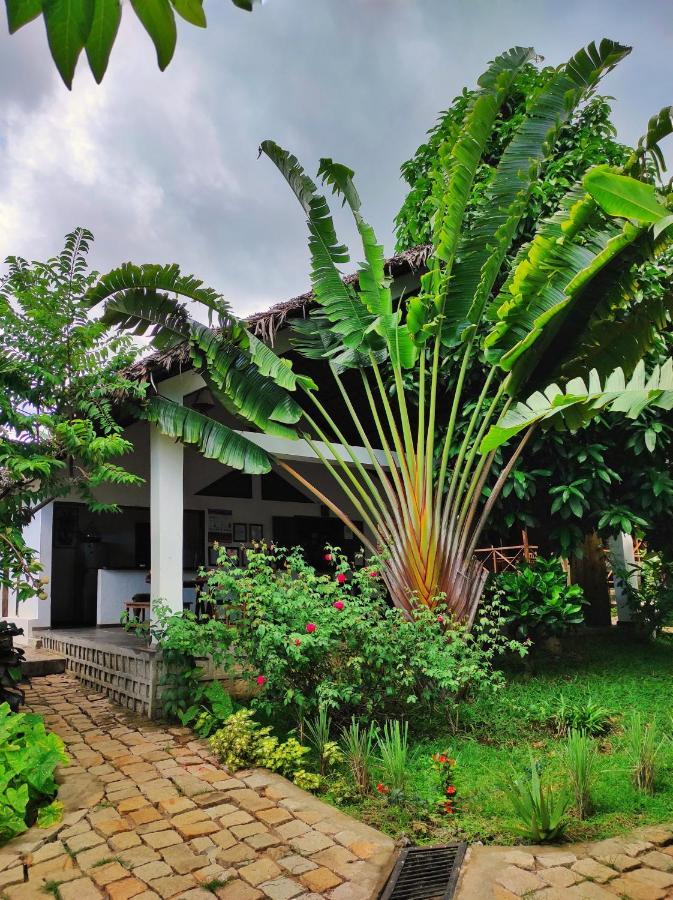 Hotel Benjamin Ambatoloaka  Ngoại thất bức ảnh